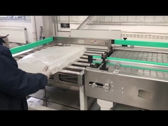 Automatisch viscositeitsverbeteraarsysteem ISO 3A-certificaat